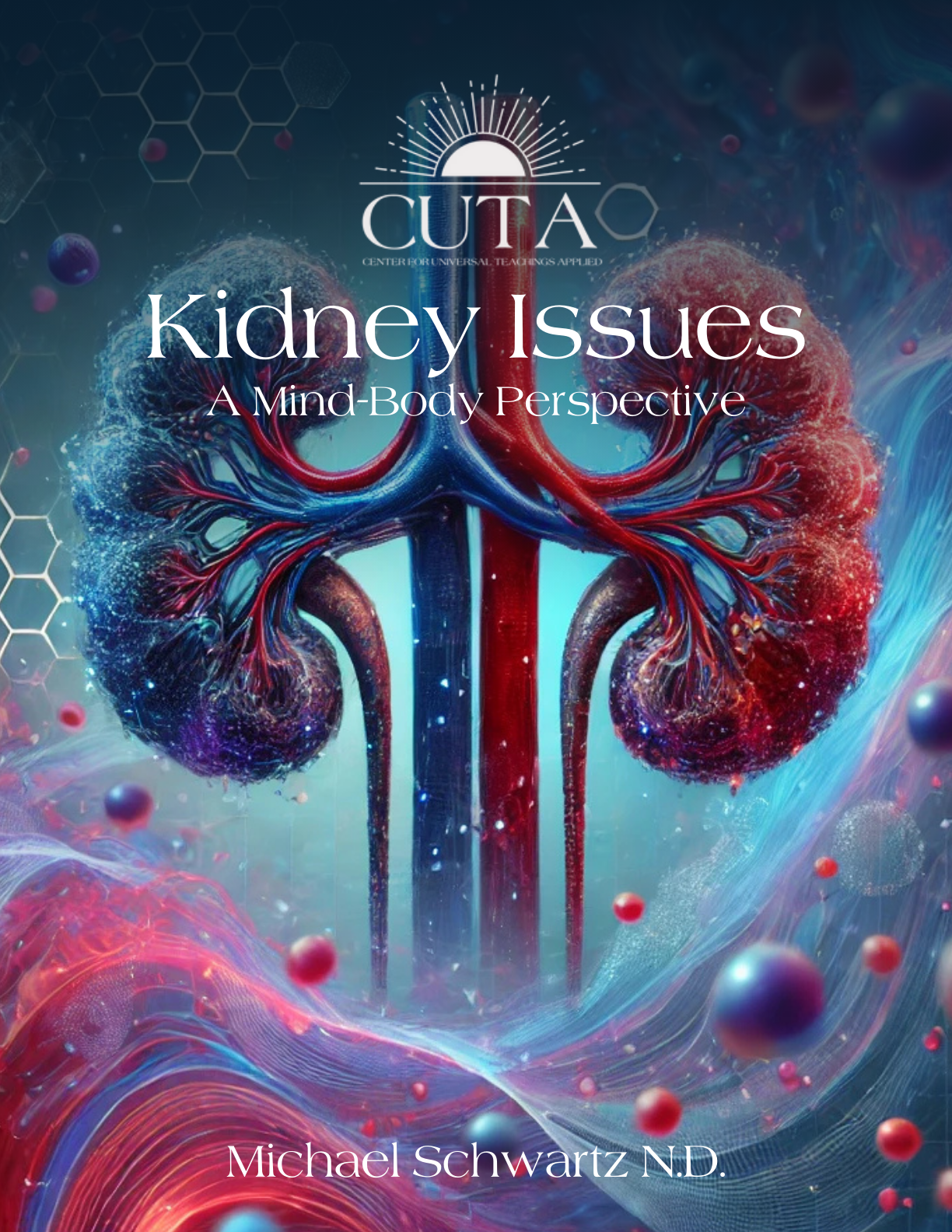 Kidney Issues Booklet