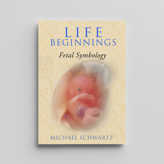 Life Beginnings: Fetal Symbology