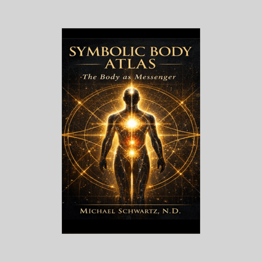 Symbolic Body Atlas - From Signals to Meaning (Book 2)